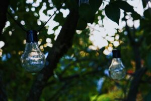Ideas literarias incubadas en entorno veraniego | SlowTales