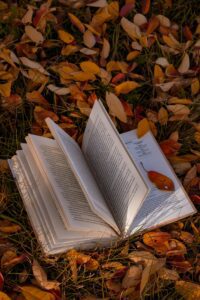 Lecturas para recibir el otoño | SlowTales