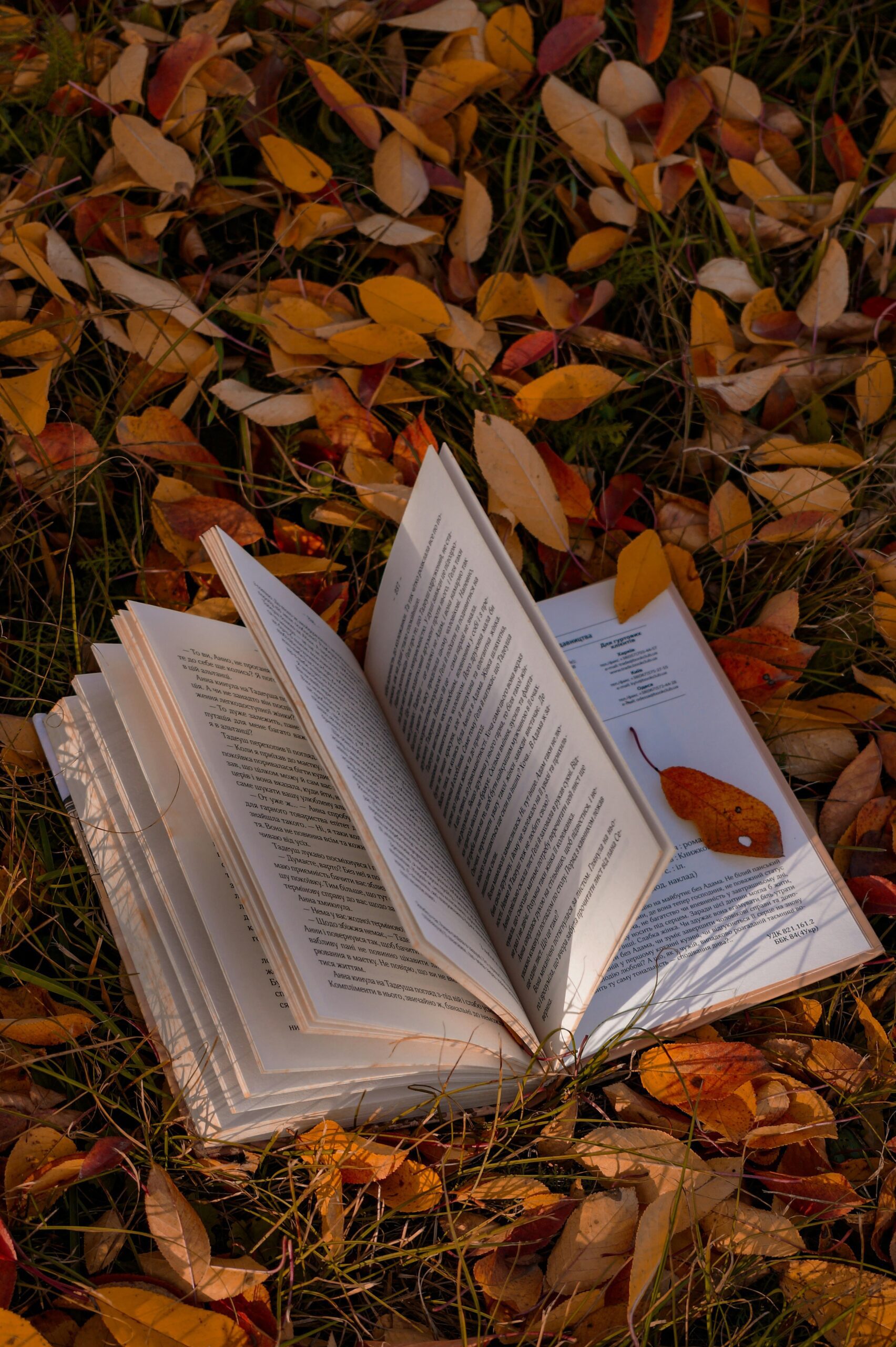 Lecturas para recibir el otoño | SlowTales