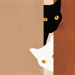 Escritores con gatos | SlowTales