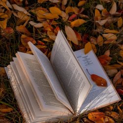 Lecturas para recibir el otoño | SlowTales